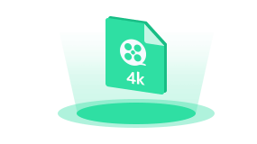 4K動画の形式を変換