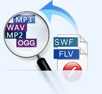 flv to mp3
