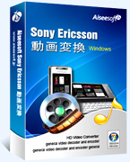 Sony Ericsson Video Converter box