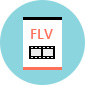 FLV 動画変換