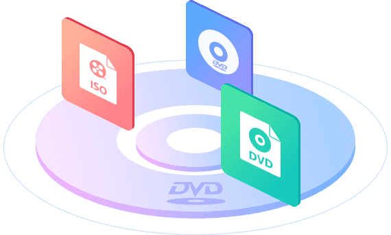 DVD 再生