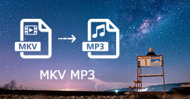 MKV MP3 変換