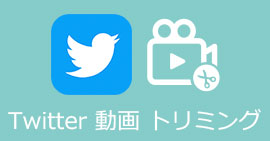 Twitterに動画を投稿