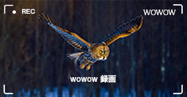 WOWOW 録画