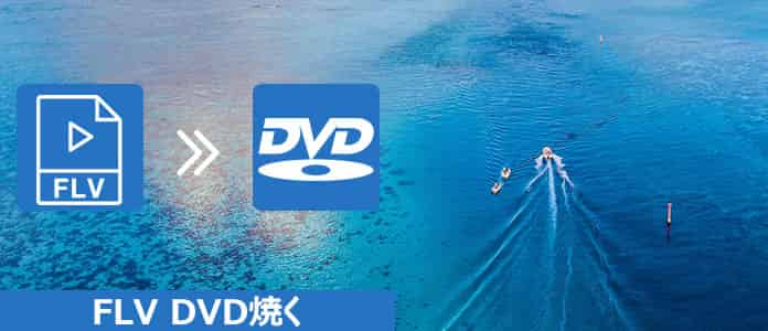FLV DVD