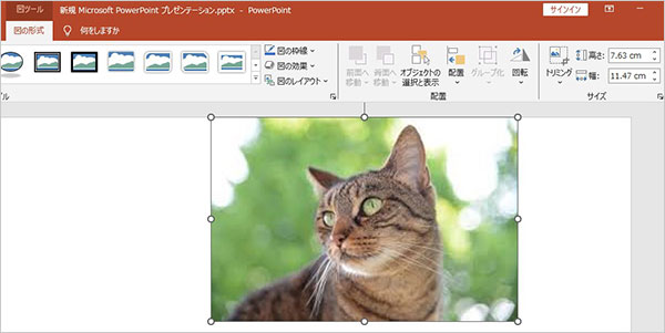 画像挿入と「図の形式」設定