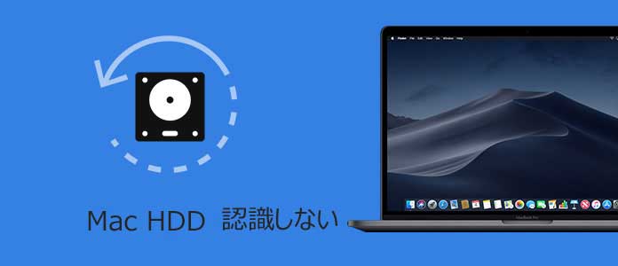 Mac HDD 認識しない