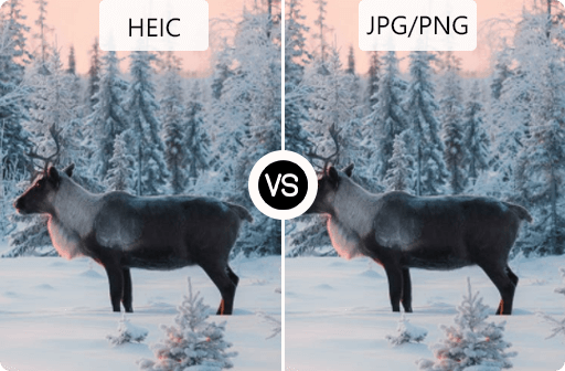 HEIC vs. JPG vs. PNG