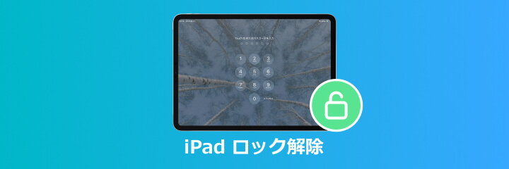 iPad ロック解除