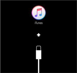 iPod リカバリ モード