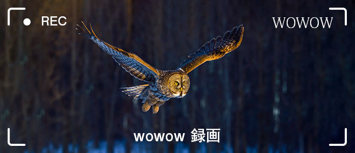 WOWOW番組を録画