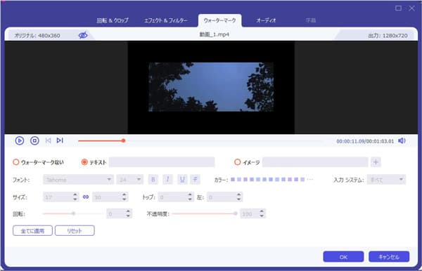 TikTok動画に文字を入れる