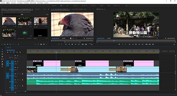 Adobe Premiere Pro