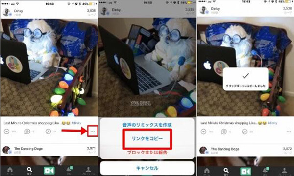 Vine動画のリンクを取得する