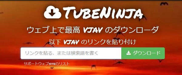 TubeNinja