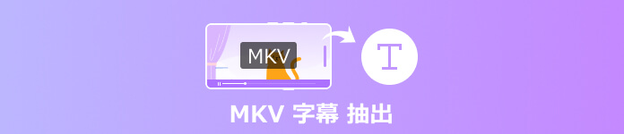 MKV 字幕 抽出