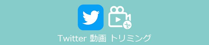 Twitter 動画投稿